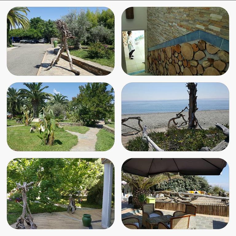 Hotel Levolle Marine Poggio Mezzana Exteriér fotografie