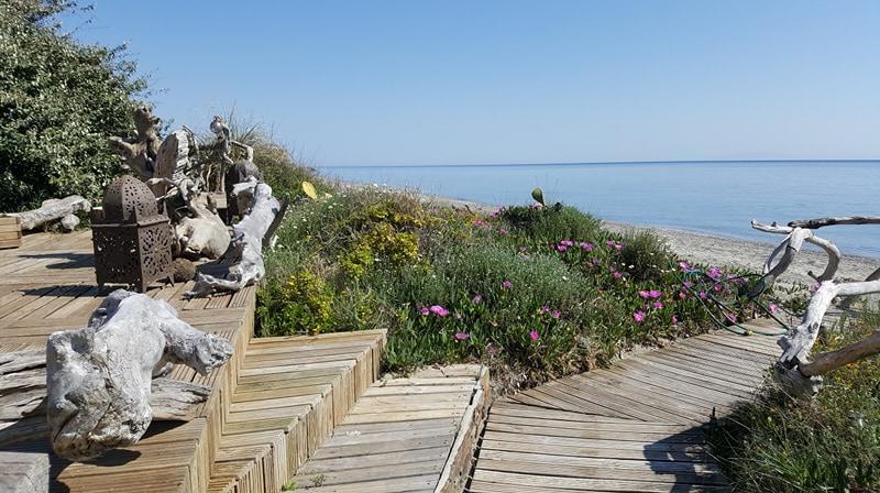 Hotel Levolle Marine Poggio Mezzana Exteriér fotografie