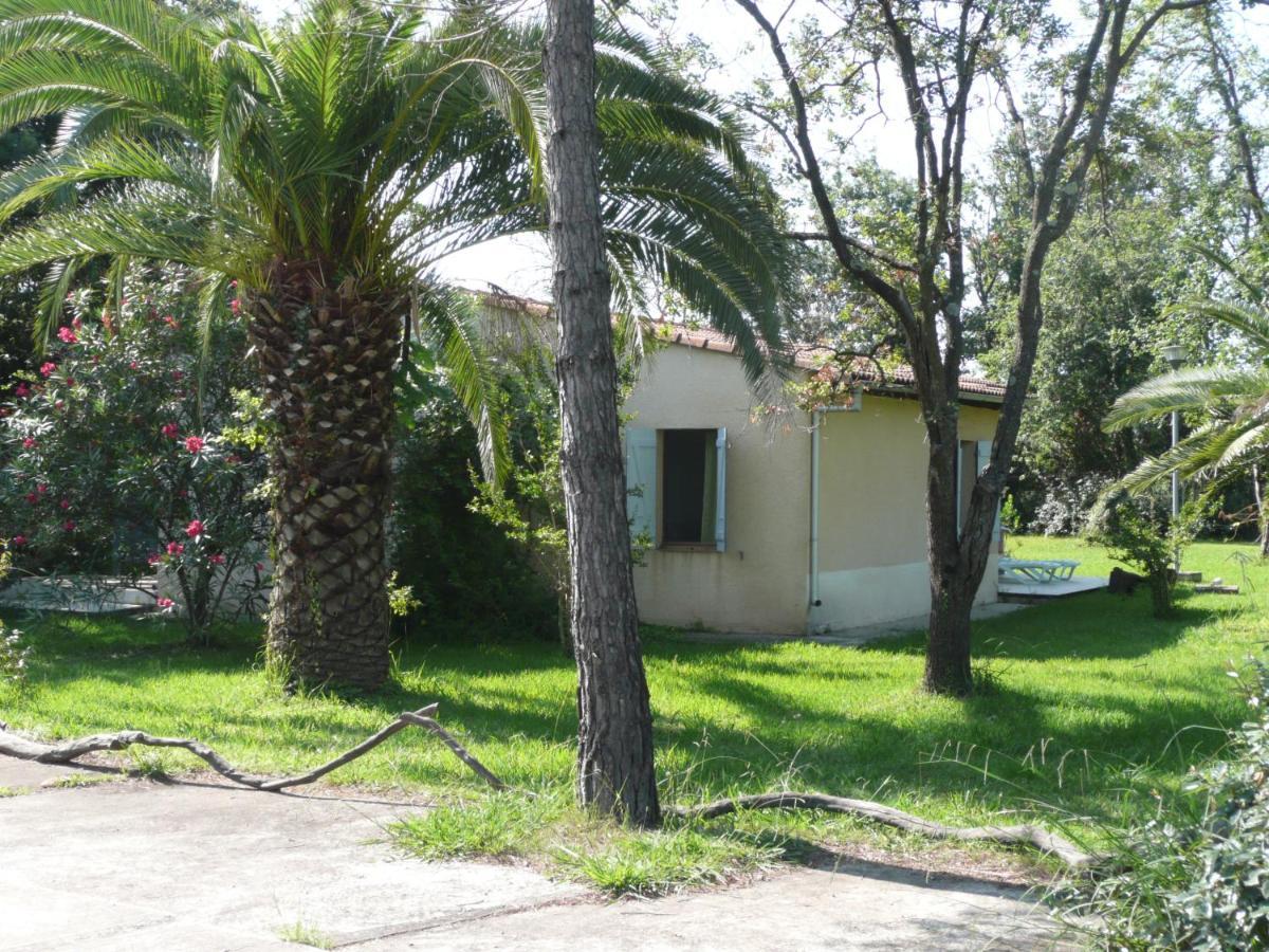 Hotel Levolle Marine Poggio Mezzana Exteriér fotografie